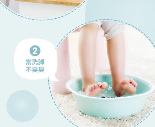 茶花塑料洗脸盆 洁净生活的艺术与实用主义